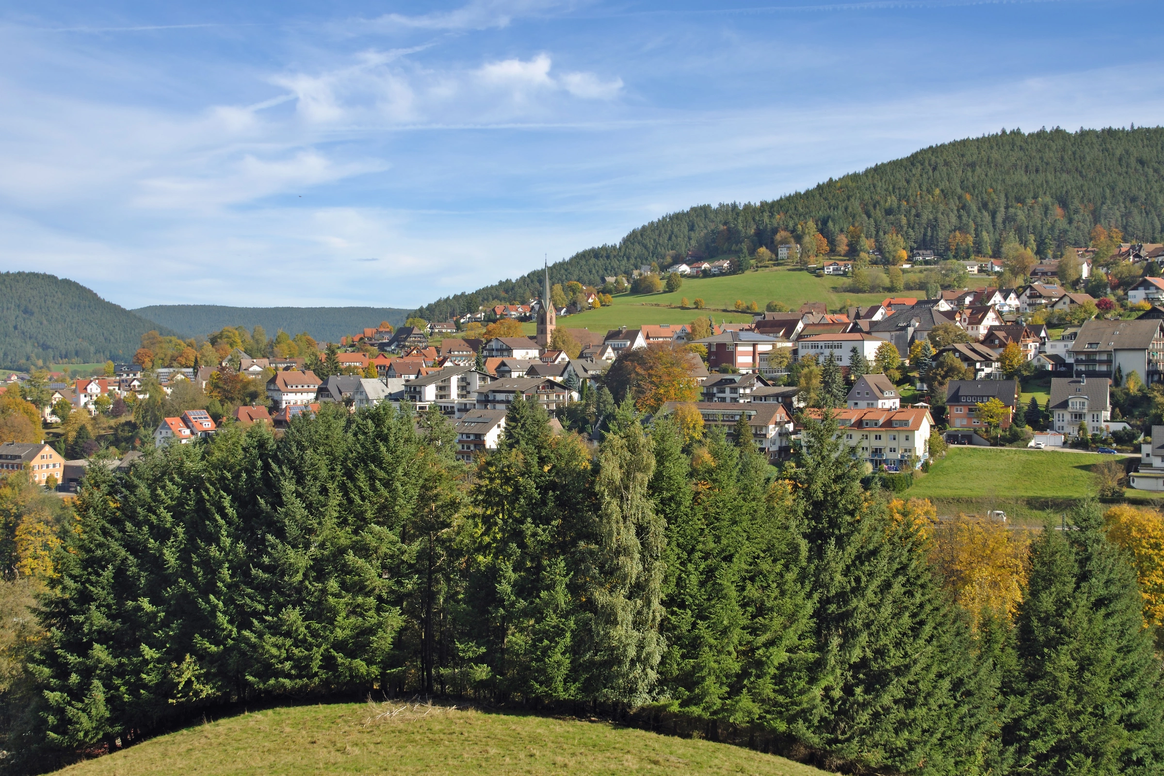 Baiersbronn[1].webp